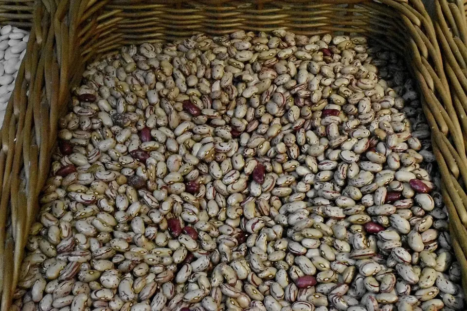 A wicker basket full of speckled cream and maroon dry bean seeds