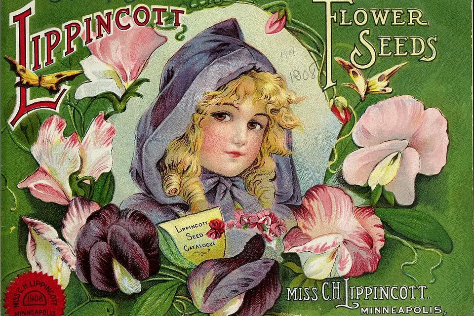 A 1908 flower seed catalog cover illustrated with sweet peas in pink and purple around a girl in a lilac hood holding a seed packet