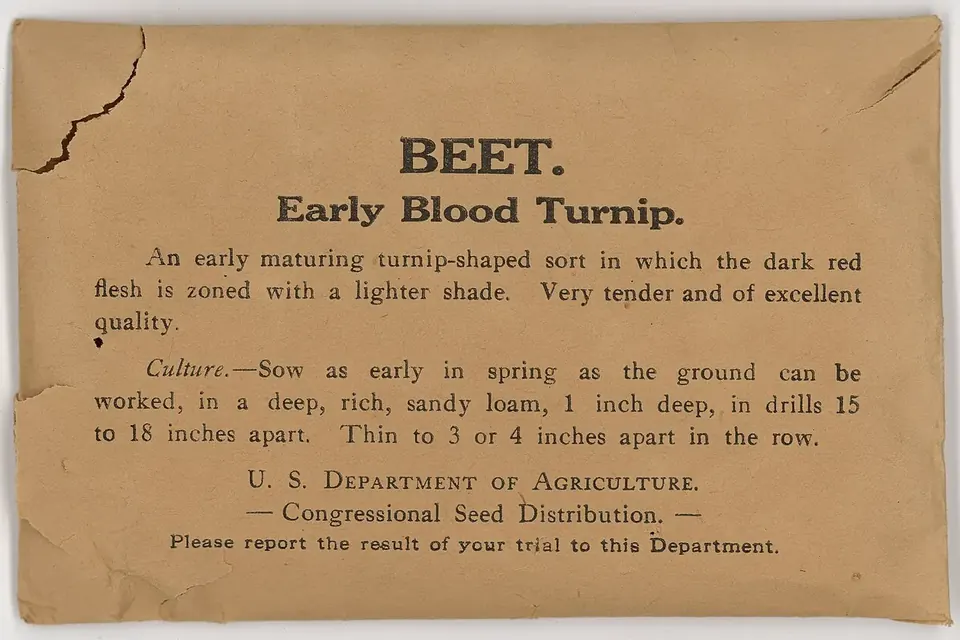 A worn brown paper seed envelope printed 'Beet. Early Blood Turnip', with sowing instructions and the words U.S. Department of Agriculture