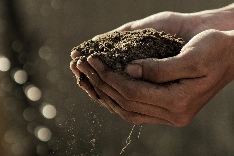 Two cupped hands holding a heap of dark, crumbly garden soil, a few grains falling between the fingers