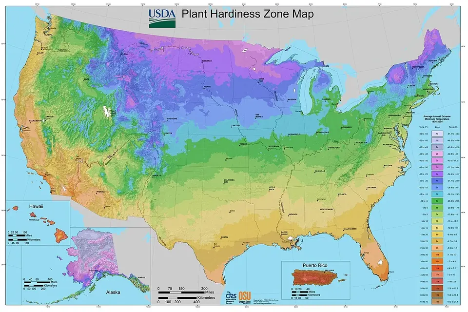 The USDA Plant Hardiness Zone Map of the United States in bands of purple, blue, green, yellow and orange, from cold north to warm south